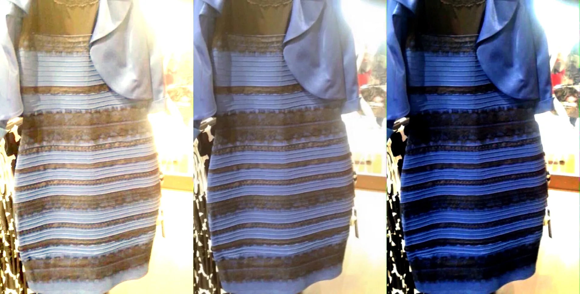 The Dress: Black and Blue or White and Gold?