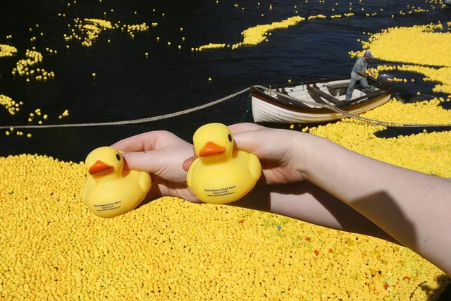 Most Rubber Ducks Collected—A Floating Obsession