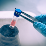 Understanding Stem Cell Therapy