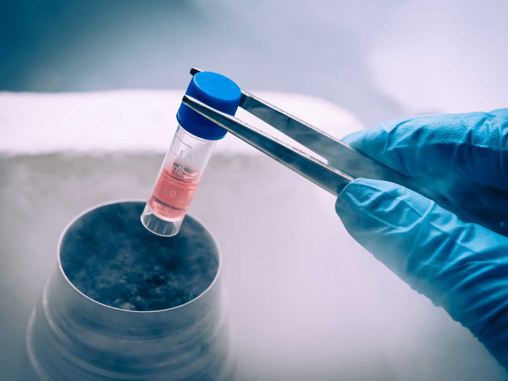 Understanding Stem Cell Therapy